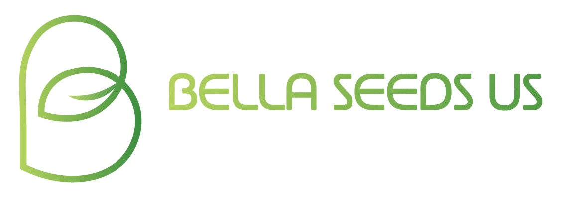 Bella Seeds US